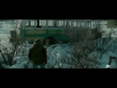 mimochodem - #muzyka #eddievedder #intothewild