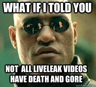 frugofan95 - @breskali: Liveleak to przecież zwykły hub video, tylko że bardziej libe...