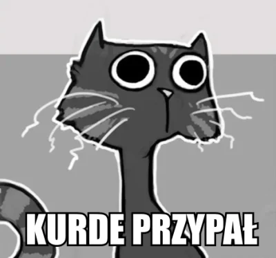 KurzeJajko - Kurde przypał