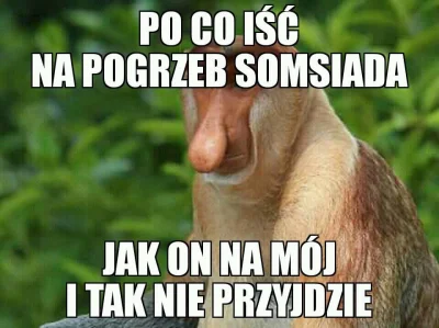B.....q - #heheszki #humorobrazkowy #polskiedomy #polak #nosaczsundajski #nosacz