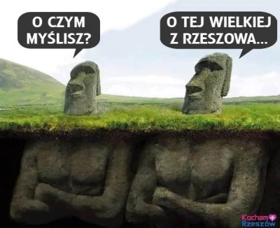 jasze_polan - #heheszki #humorobrazkowy #dowcip #rzeszow ##!$%@? #pomnik
