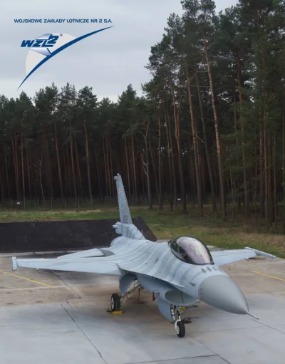 b.....s - #aircraftboners #ciekawostki #f16 #lotnictwo

Malowanie na Tiger Meet 201...