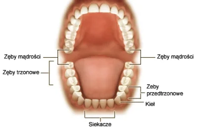 Opinia - #dentysta #stomatologia #pomocy #lekarz #jamaustna #zdrowie #żeby #gownowpis...