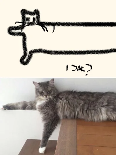 PIAN--A_A--KTYWNA - Jak wam się podoba mój kot?
#koty #kot #rysujzwykopem