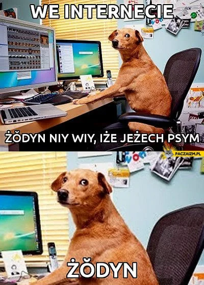 Colek - ZOBACZ STARE MEMY Z WYKOPU 2011