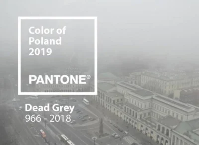 anonimek123456 - #pantone #grafika #reklama #humorobrazkowy ale jednak #takaprawda #p...