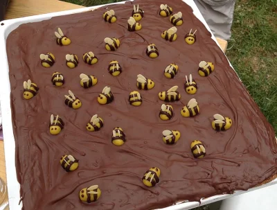 pciem - @pszczelarz: Fajne ciastko?
#pszczoly #pszczelarstwo