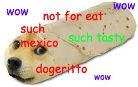 jaywalker - #doge #piesel #mexico #mexicoday #meksyk #dzienmeksykanski