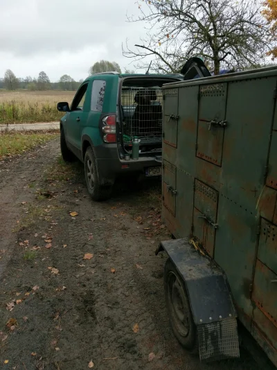 DZIK_Kirex - U mnie w kole Hubertus wyjątkowo będzie odbywał się dopiero 19.11. A to ...