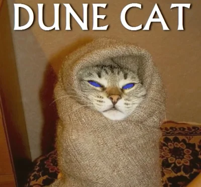 Herbatnik - @Lookazz: @Niewierny_Mops: #dune

SPOILER