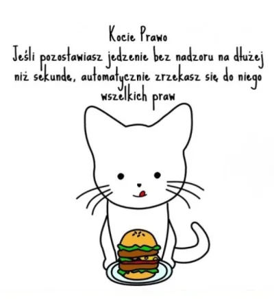 LadyMarcepan - Kto ma kota, ten zrozumie... ( ͡° ͜ʖ ͡°)
#takaprawda #heheszki #humor...