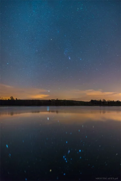 Nightscapes_pl - Dwa światy.
Panorama (właściwie to pionorama :) złożona z 5 poziomy...