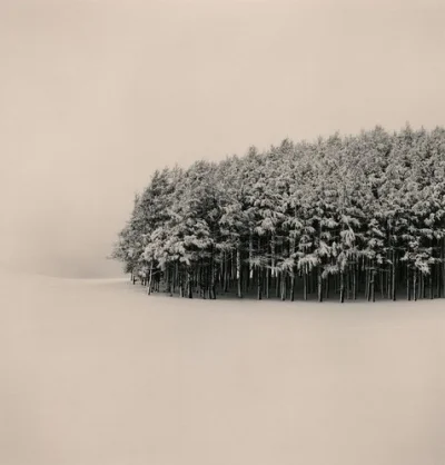 dishwasher - chcę już śnieg
#zima ##!$%@? #earthporn