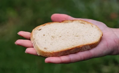 AndyMoor - Wieczna beka z podludzi którzy z kromek chleba usuwają skórki, która jeżel...
