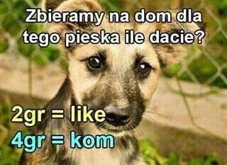 HorribileDictu - Post na facebooku weryfikujący czy znajomi mają mózg. #rakcontent #r...