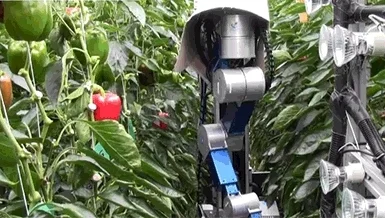 rrobot - #automatyka #robotyka a tak zbieram paprykę przy domowej plantacji ( ͡° ͜ʖ ͡...