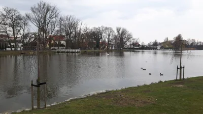 Woojt92 - Wolsztyn. Szanuję w opór te miasteczko. Zadbane, czyste, prawilne kamienicz...