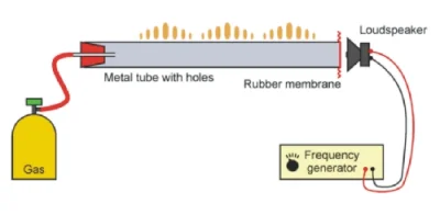 marinela-schmidt - Ruben's Tube - Fuck You science! ( ͡° ͜ʖ ͡°)