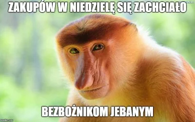 Mirekzkolega - #zakazhandlu #bekazwykopkow #madki
SPOILER