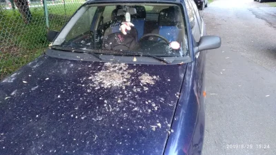 sucharplayer - Albo to auto stoi tu długo, albo gołębie miały rozwolnienie ( ͡° ͜ʖ ͡°...