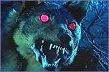 1.....z - @NoOne3: To są oczy wilków z Akademii Pana Kleksa