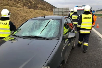 Damasweger - Jasny ch&j. Kawał lodu spadł z ciężarówki i wpadł do auta. Mam nadzieję,...