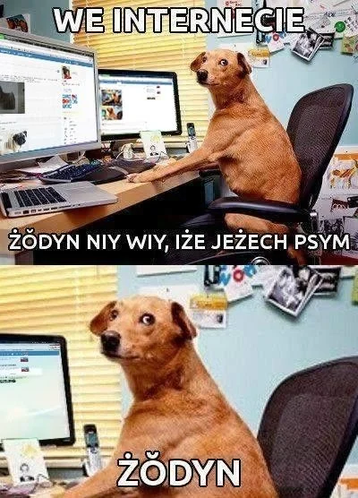 Patres - #zodyn #niebylo #perelka #nowosc #unikat #niktniezna