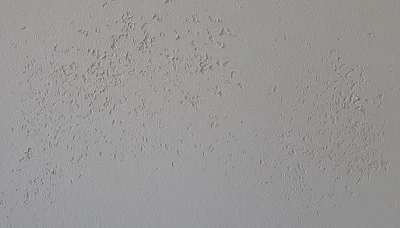Biszkopcik - Coś się zepsuło przy gruntowaniu ścian przed malowaniem. Z całego mieszk...