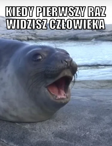 zielu14 - Jaka słodka. (ʘ‿ʘ)