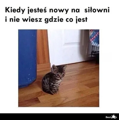 Xamer84 - @Xamer84: Dzień dobry! Jestem tu nowy ( ͡° ͜ʖ ͡°)
#heheszki #nowy #nowynaw...