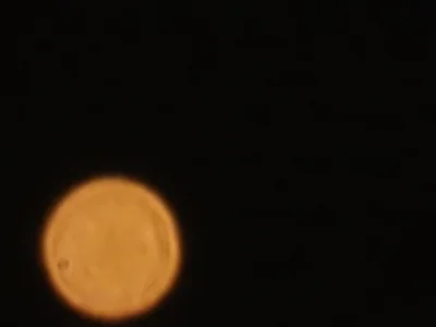 iskiero - Zdjecia Marsa - Nikon P900, wiecej w komentarzach
#fotografia #astronomia ...