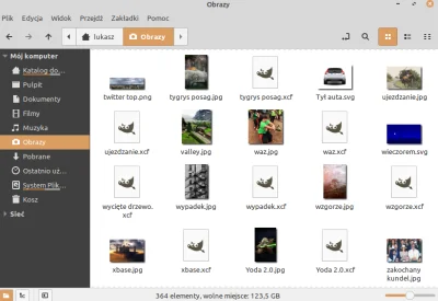 szedar - Szukam pomocy przy miniaturach #xcf w #linuxmint 19.2 nie widać ich.
Próbow...