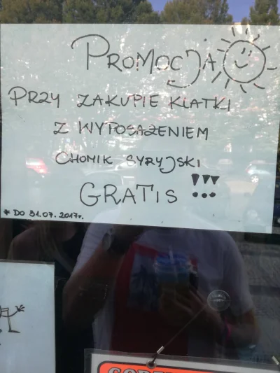 uto-pence - Kiedy czujesz ze nikt cie nie potrzebuje pomysl o chomiku syryjskim z rac...