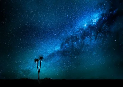 angelo_sodano - Quiver Trees, Namibia
#kosmos #galaktyka #drogamleczna #ettr #niebop...