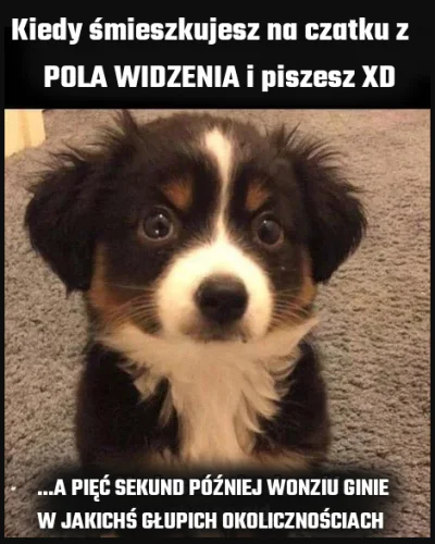 Stona - #wonziu #czatku #jadisco #PUBG #pancernik