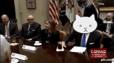 Herman1992 - #heheszki #gif #trump #businesscat