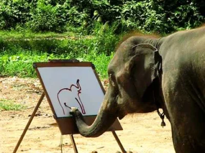 starnak - Suda - The Painting Elephant