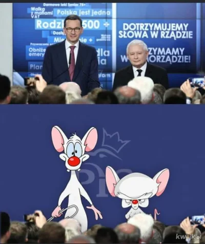 o.....3 - Zbyt podobne żeby spać spokojnie xD
#polityka #heheszki