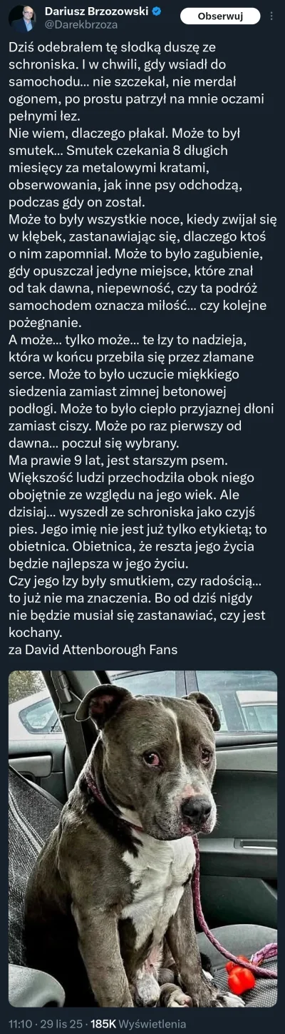 smutny_kojot - JA PJERDOLE X D 

#psiarze #psy #bekazpodludzi