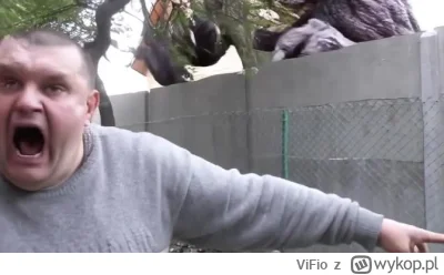 ViFio - mleczna wiedźma summonuje bossa
#kononowicz #patostreamy