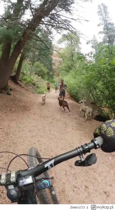 Zwierz33 - 321 481 + 45 = 321 526
45 km se w okienku słoneczkowym ostatnio ヽ( ͠°෴ °)...