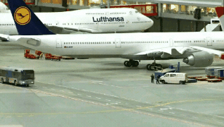 wfyokyga - MegaWonsz9