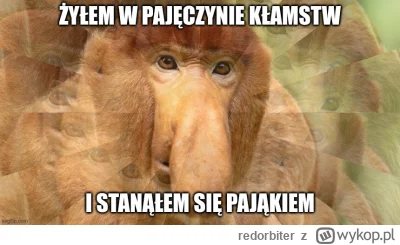 redorbiter - Avarus esse in lucris non est peccatum
SPOILER
#konkursnanajbardziejgown...