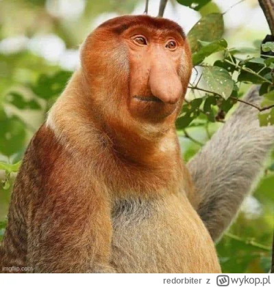 redorbiter - @rvva1: bylem na banicji, nie moglem wczesniej odpisac