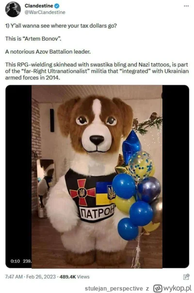 stulejan_perspective