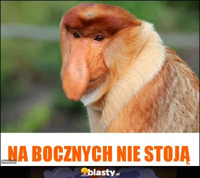 SzubiDubiDu - @SonyKrokiet: