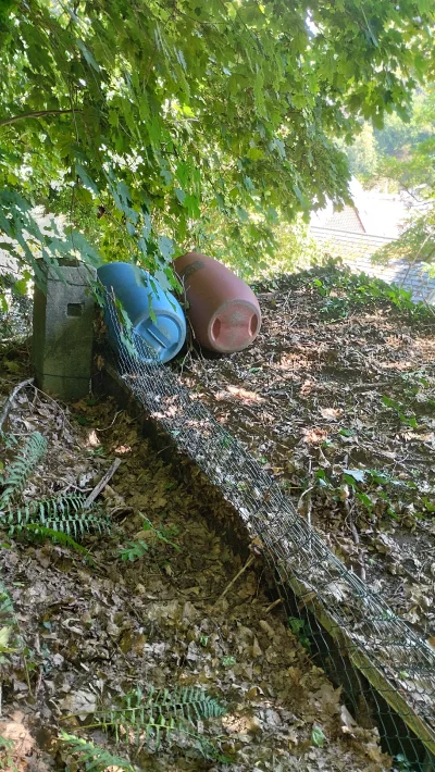 normalne_dziecko - Haha dosłownie miałem taką sytuację dzisiaj. Mama mnie zapytała po...