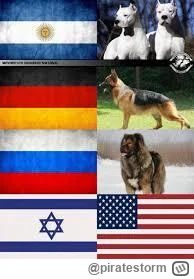 piratestorm - @piratestorm: