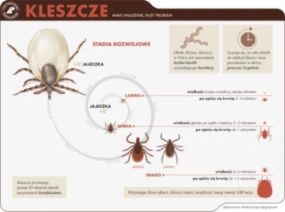 StarozytnyWarmianin - @Serzie100: Tu masz wytłumaczone.