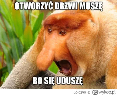 Lolczyk - Czy ktoś mi może wytłumaczyć z jakiego powodu w publicznych toaletach (na s...